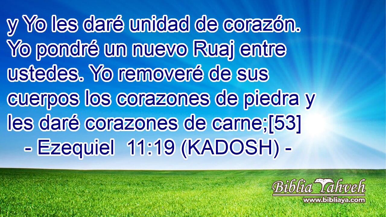  y Yo les daré unidad de corazón. Yo pondré un nuevo Ruaj entre ustedes. Yo removeré de sus cuerpos los corazones de piedra y les daré corazones de carne;[53] 
