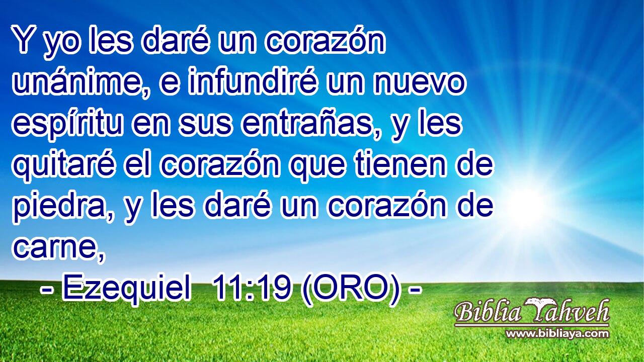  Y yo les daré un corazón unánime, e infundiré un nuevo espíritu en sus entrañas, y les quitaré el corazón que tienen de piedra, y les daré un corazón de carne, 