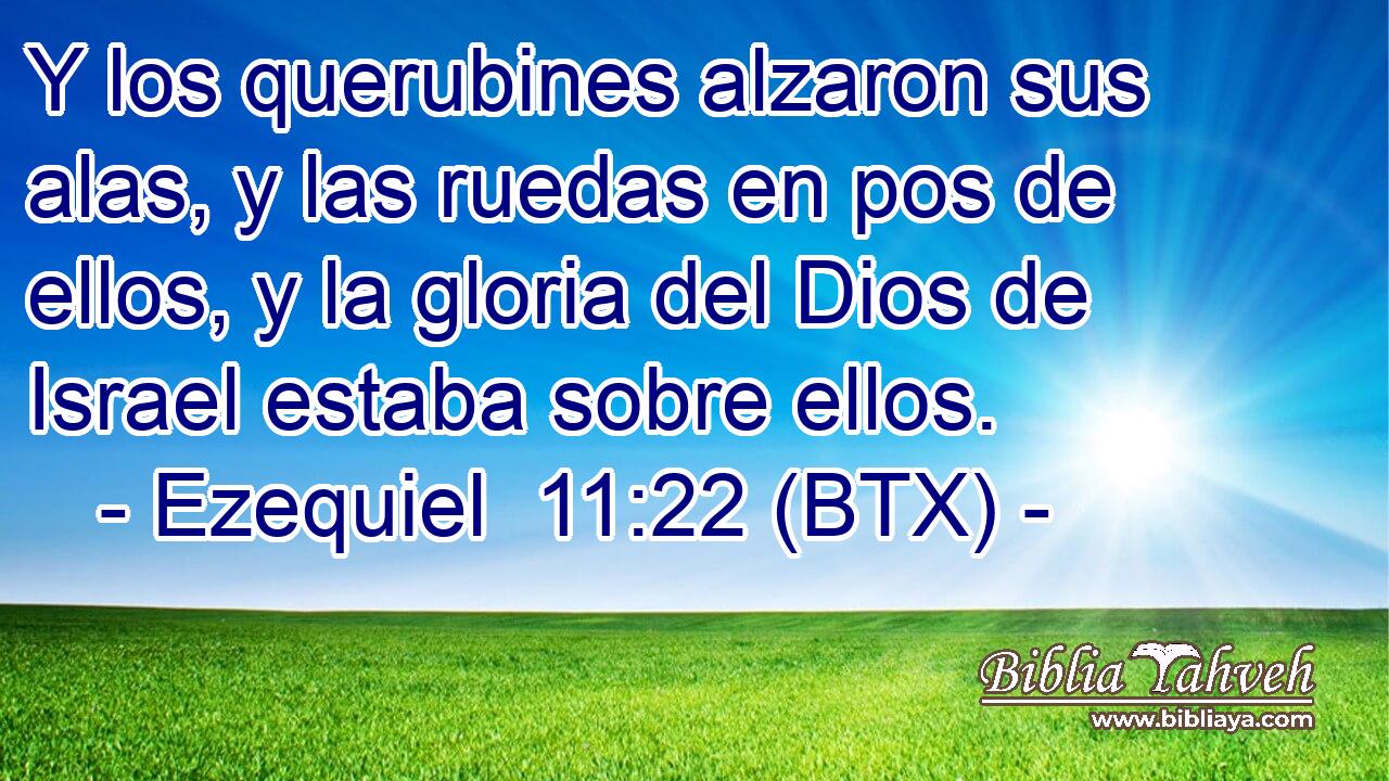 Y los querubines alzaron sus alas, y las ruedas en pos de ellos, y la gloria del Dios de Israel estaba sobre ellos.