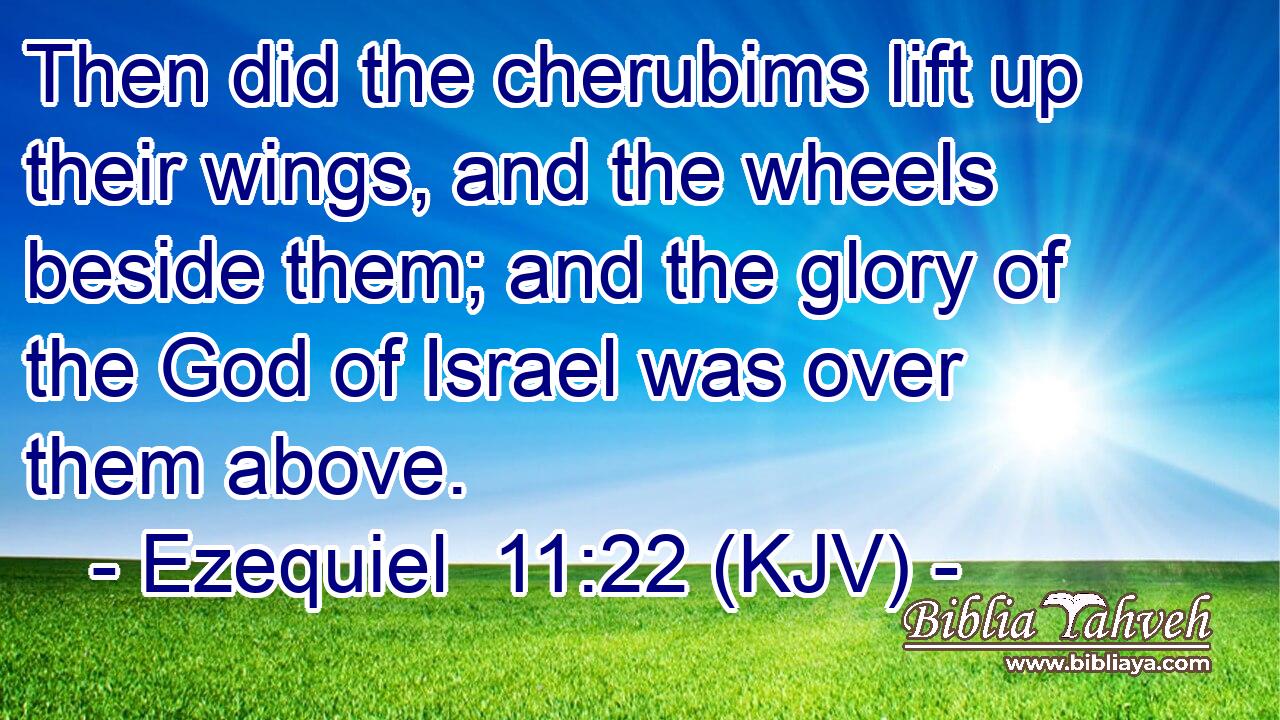 Then did the cherubims lift up their wings, and the wheels beside them; and the glory of the God of Israel was over them above.