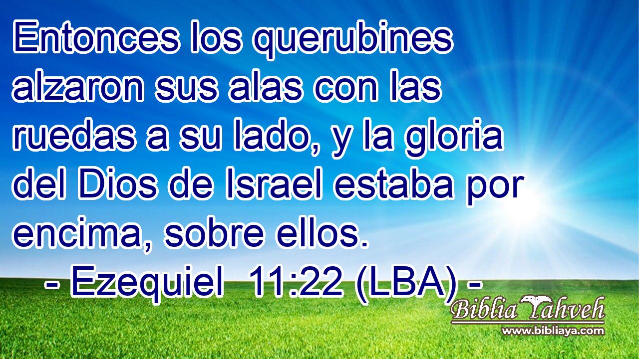 Entonces los querubines alzaron sus alas con las ruedas a su lado, y la gloria del Dios de Israel estaba por encima, sobre ellos.