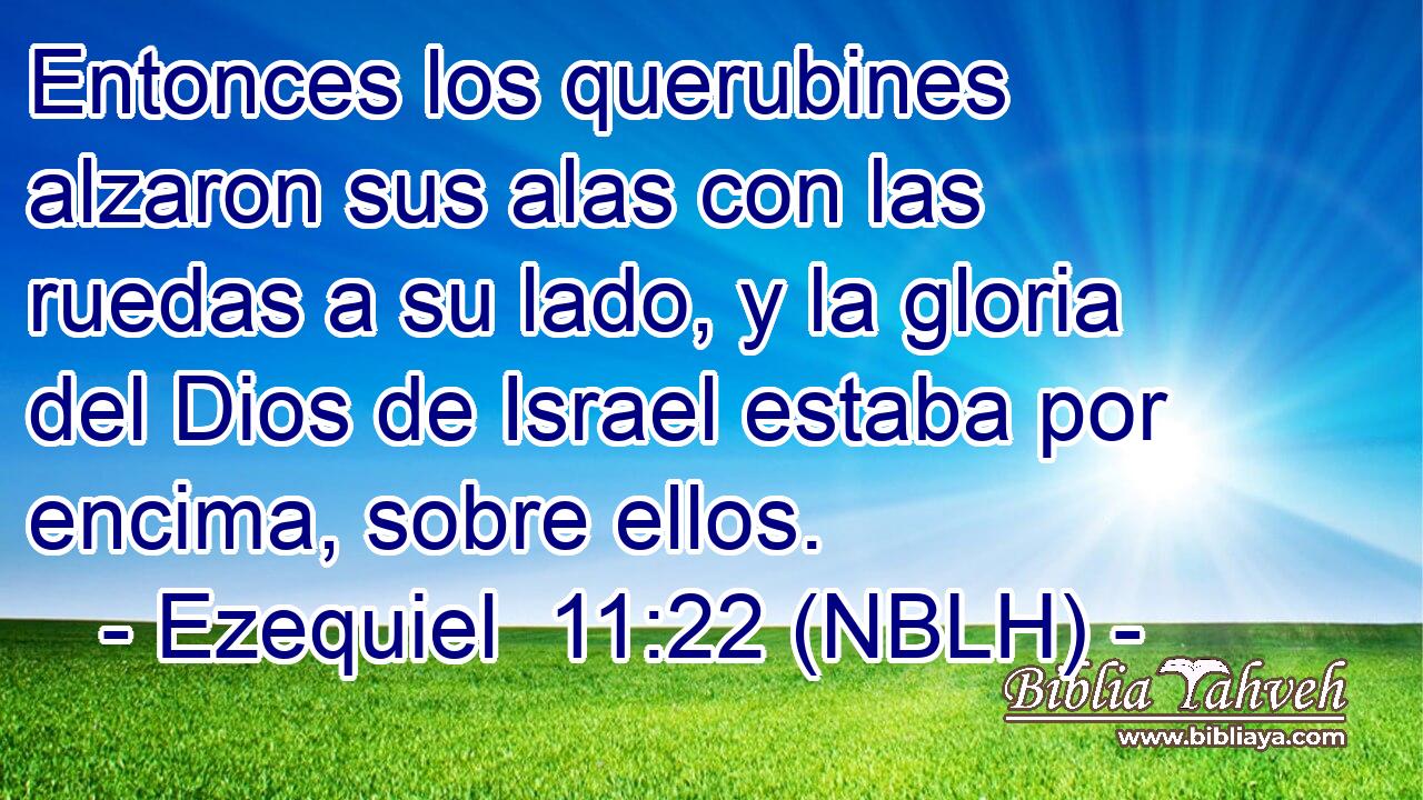  Entonces los querubines alzaron sus alas con las ruedas a su lado, y la gloria del Dios de Israel estaba por encima, sobre ellos. 