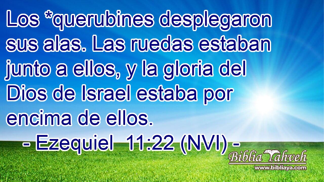  Los *querubines desplegaron sus alas. Las ruedas estaban junto a ellos, y la gloria del Dios de Israel estaba por encima de ellos. 
