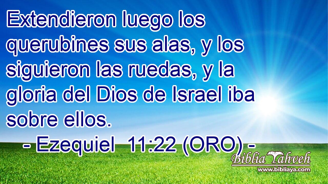  Extendieron luego los querubines sus alas, y los siguieron las ruedas, y la gloria del Dios de Israel iba sobre ellos. 