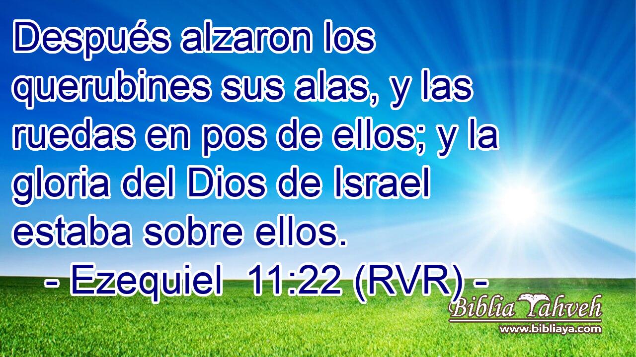 Después alzaron los querubines sus alas, y las ruedas en pos de ellos; y la gloria del Dios de Israel estaba sobre ellos.