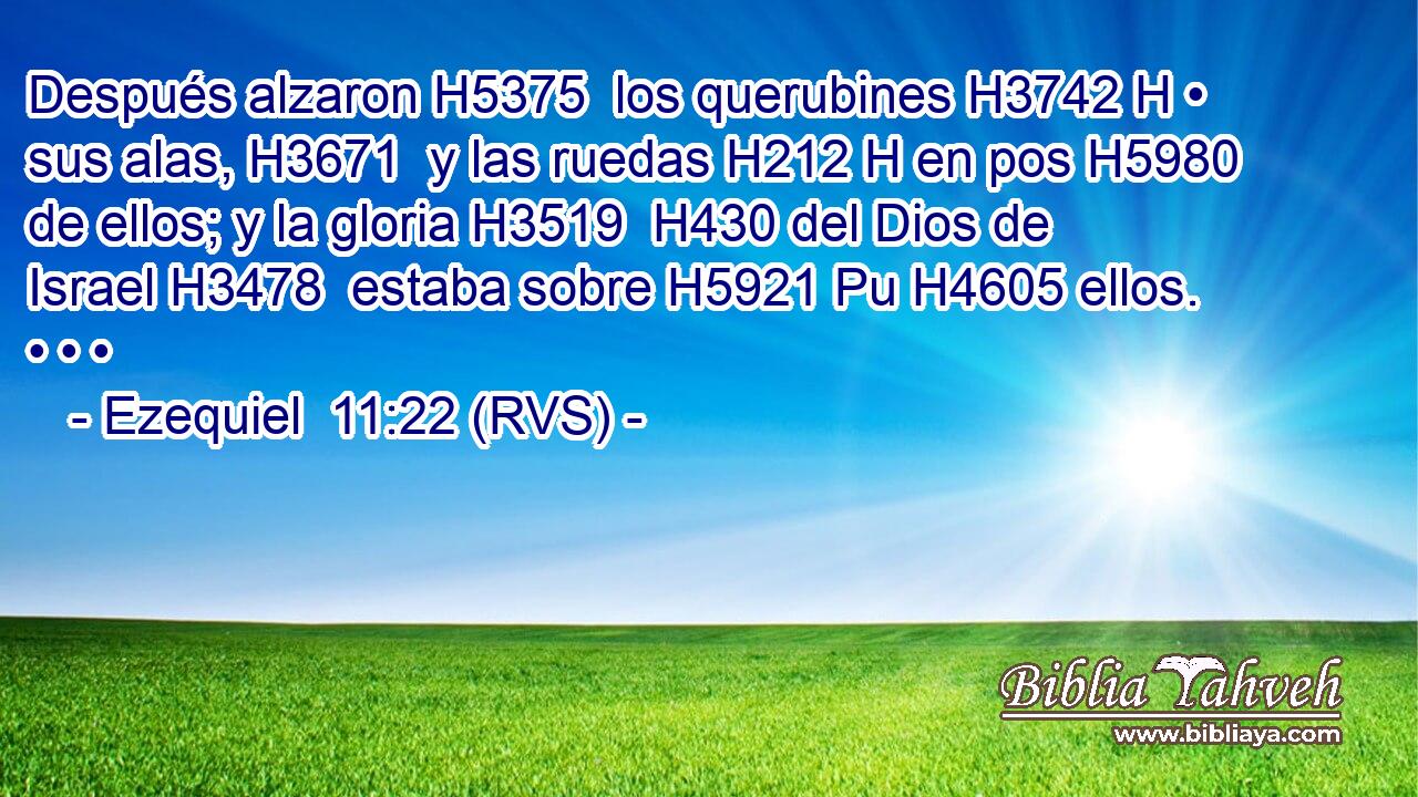 Después alzaron H5375  los querubines H3742 H • sus alas, H3671  y las ruedas H212 H en pos H5980  de ellos; y la gloria H3519  H430 del Dios de Israel H3478  estaba sobre H5921 Pu H4605 ellos. • • • 