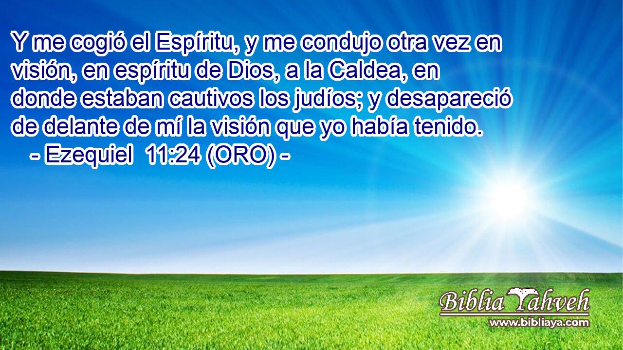  Y me cogió el Espíritu, y me condujo otra vez en visión, en espíritu de Dios, a la Caldea, en donde estaban cautivos los judíos; y desapareció de delante de mí la visión que yo había tenido. 