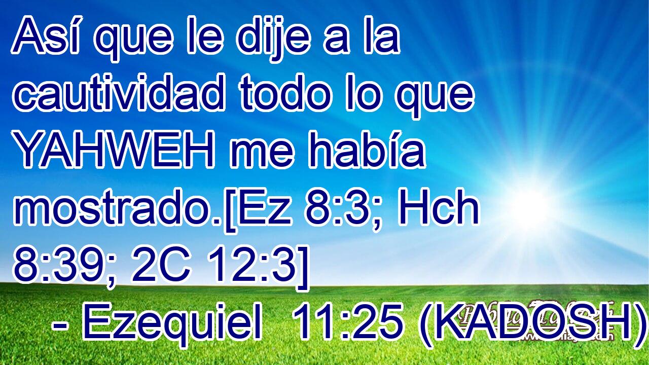  Así que le dije a la cautividad todo lo que YAHWEH me había mostrado.[Ez 8:3; Hch 8:39; 2C 12:3] 