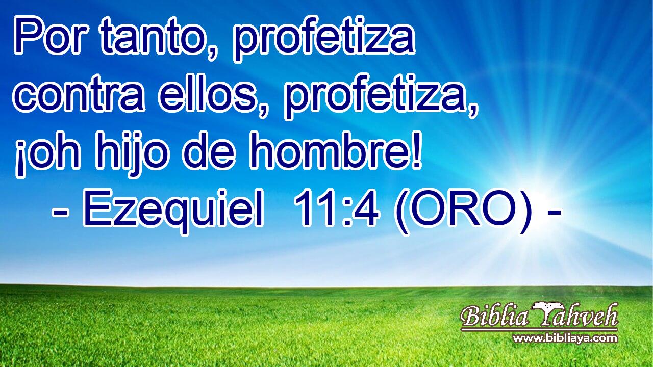  Por tanto, profetiza contra ellos, profetiza, ¡oh hijo de hombre! 