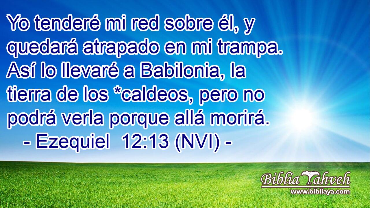  Yo tenderé mi red sobre él, y quedará atrapado en mi trampa. Así lo llevaré a Babilonia, la tierra de los *caldeos, pero no podrá verla porque allá morirá. 