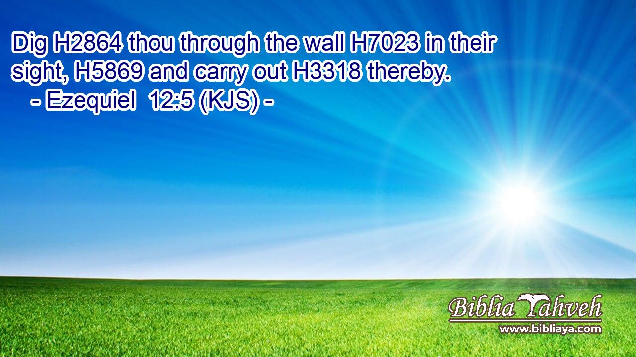 Dig H2864 thou through the wall H7023 in their sight, H5869 and carry out H3318 thereby.