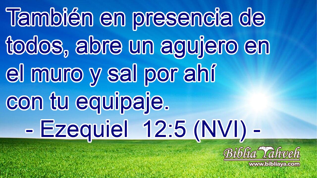  También en presencia de todos, abre un agujero en el muro y sal por ahí con tu equipaje. 