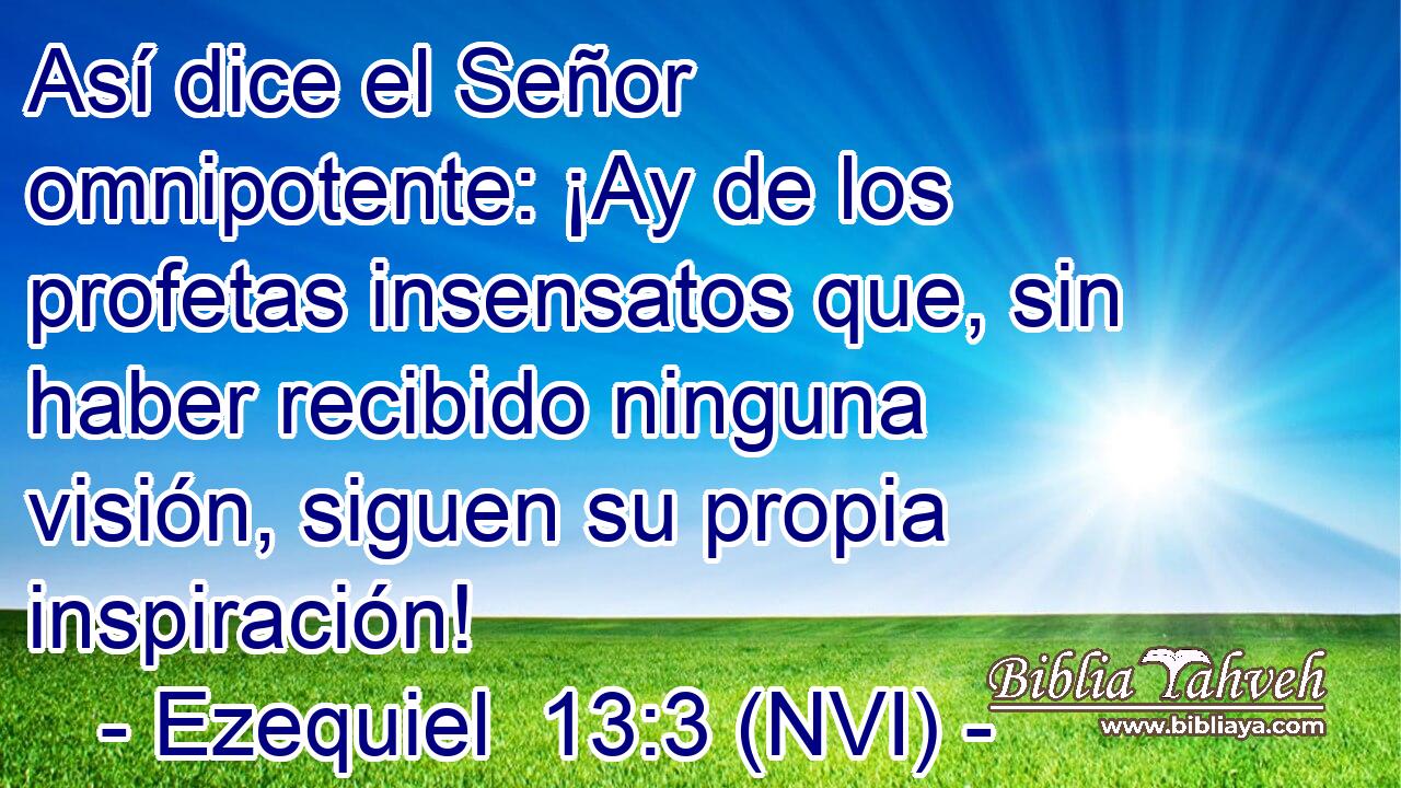  Así dice el Señor omnipotente: ¡Ay de los profetas insensatos que, sin haber recibido ninguna visión, siguen su propia inspiración! 