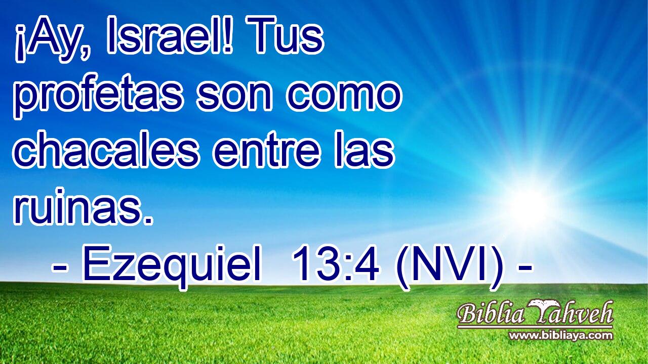  ¡Ay, Israel! Tus profetas son como chacales entre las ruinas. 