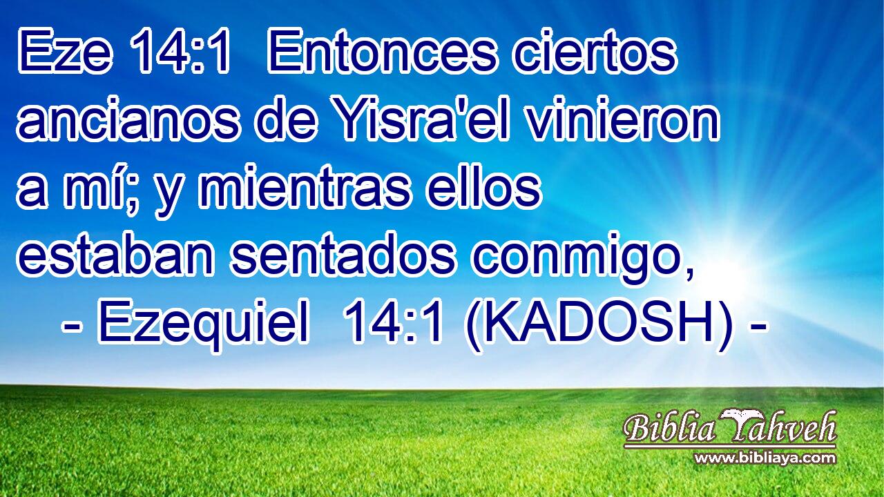  Entonces ciertos ancianos de Yisra'el vinieron a mí; y mientras ellos estaban sentados conmigo, 