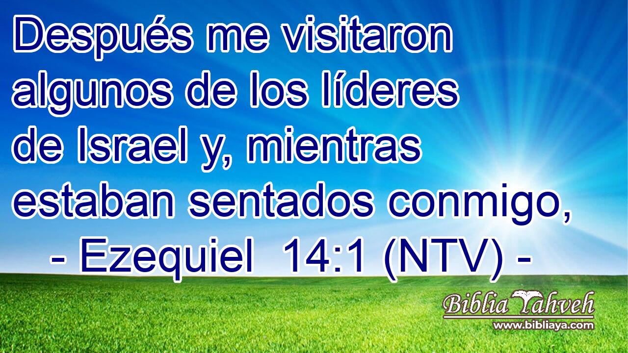 Después me visitaron algunos de los líderes de Israel y, mientras estaban sentados conmigo,