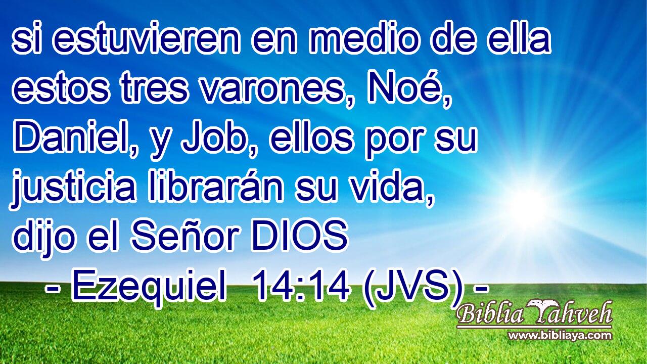 si estuvieren en medio de ella estos tres varones, Noé, Daniel, y Job, ellos por su justicia librarán su vida, dijo el Señor DIOS