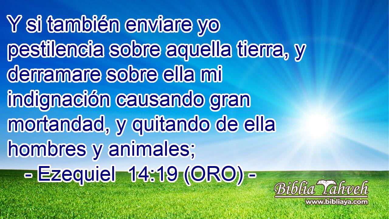  Y si también enviare yo pestilencia sobre aquella tierra, y derramare sobre ella mi indignación causando gran mortandad, y quitando de ella hombres y animales; 