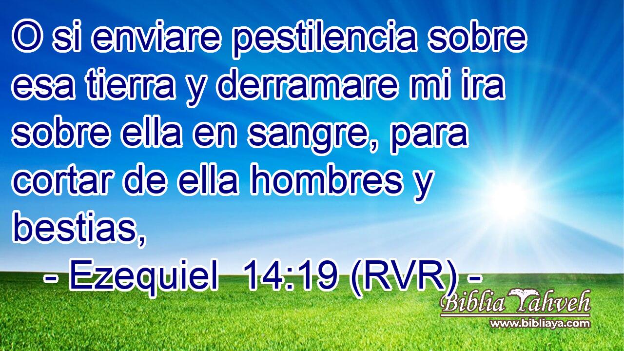 O si enviare pestilencia sobre esa tierra y derramare mi ira sobre ella en sangre, para cortar de ella hombres y bestias,