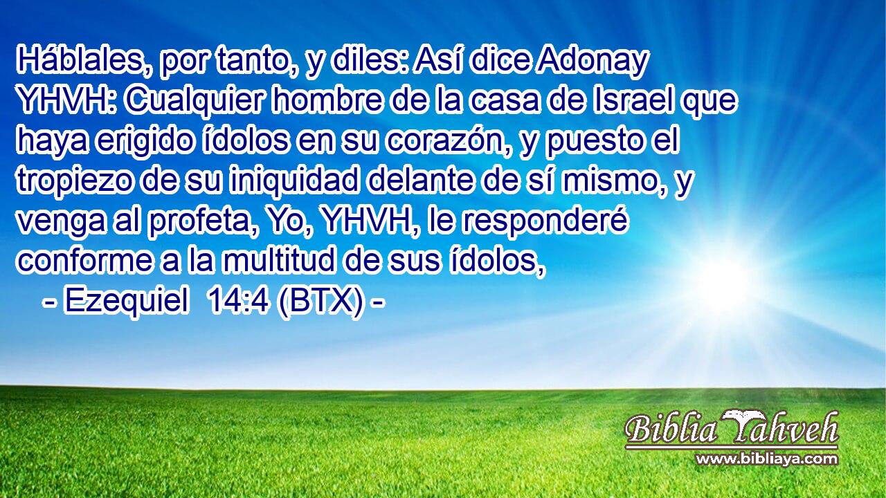Háblales, por tanto, y diles: Así dice Adonay YHVH: Cualquier hombre de la casa de Israel que haya erigido ídolos en su corazón, y puesto el tropiezo de su iniquidad delante de sí mismo, y venga al profeta, Yo, YHVH, le responderé conforme a la multitud de sus ídolos,