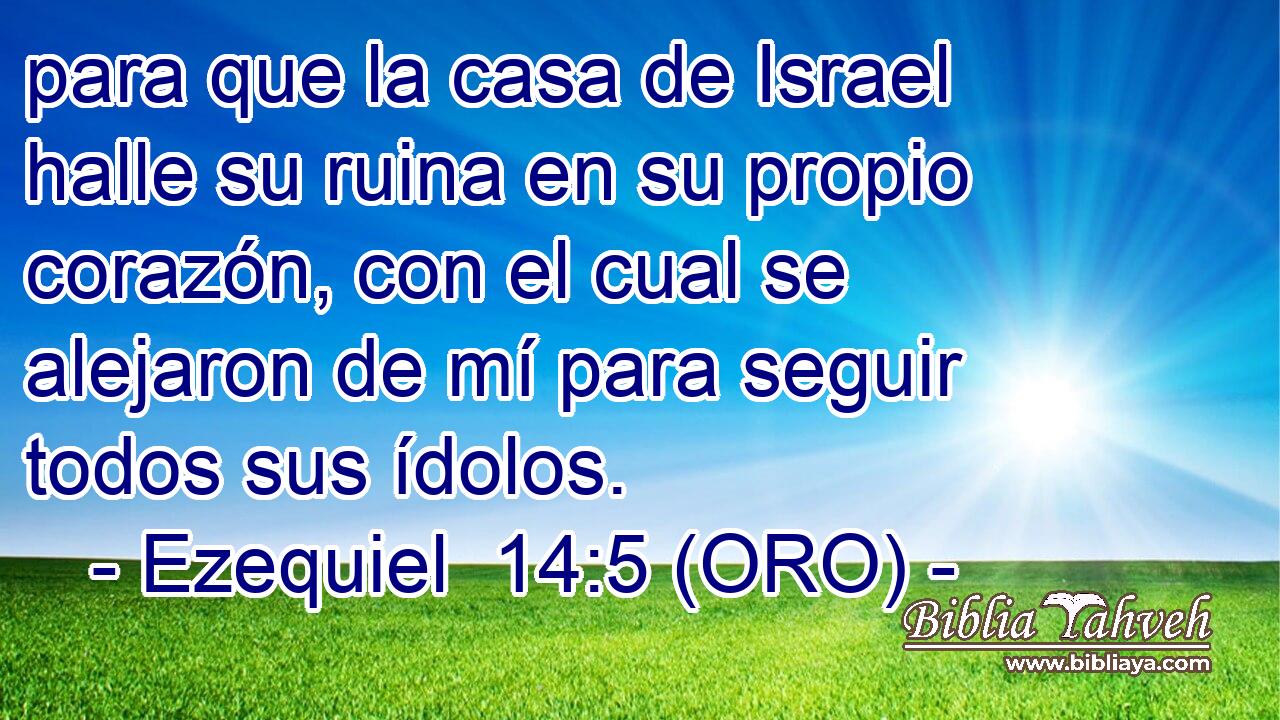  para que la casa de Israel halle su ruina en su propio corazón, con el cual se alejaron de mí para seguir todos sus ídolos. 