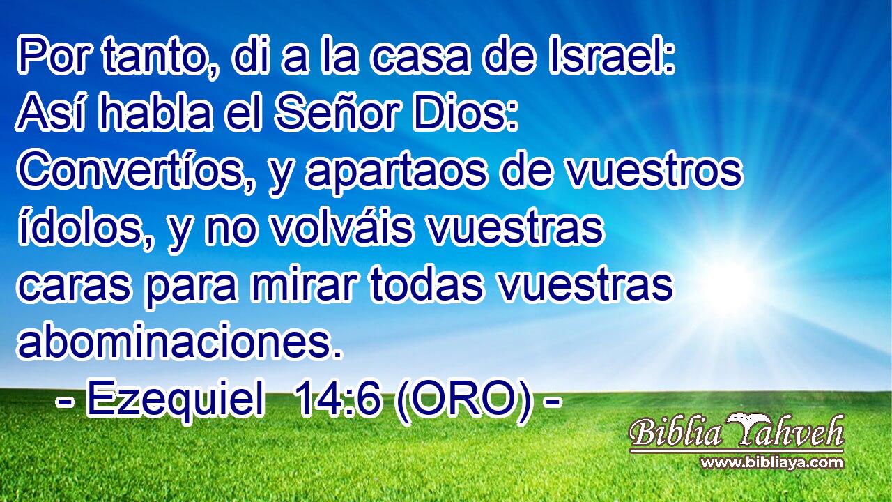  Por tanto, di a la casa de Israel: Así habla el Señor Dios: Convertíos, y apartaos de vuestros ídolos, y no volváis vuestras caras para mirar todas vuestras abominaciones. 
