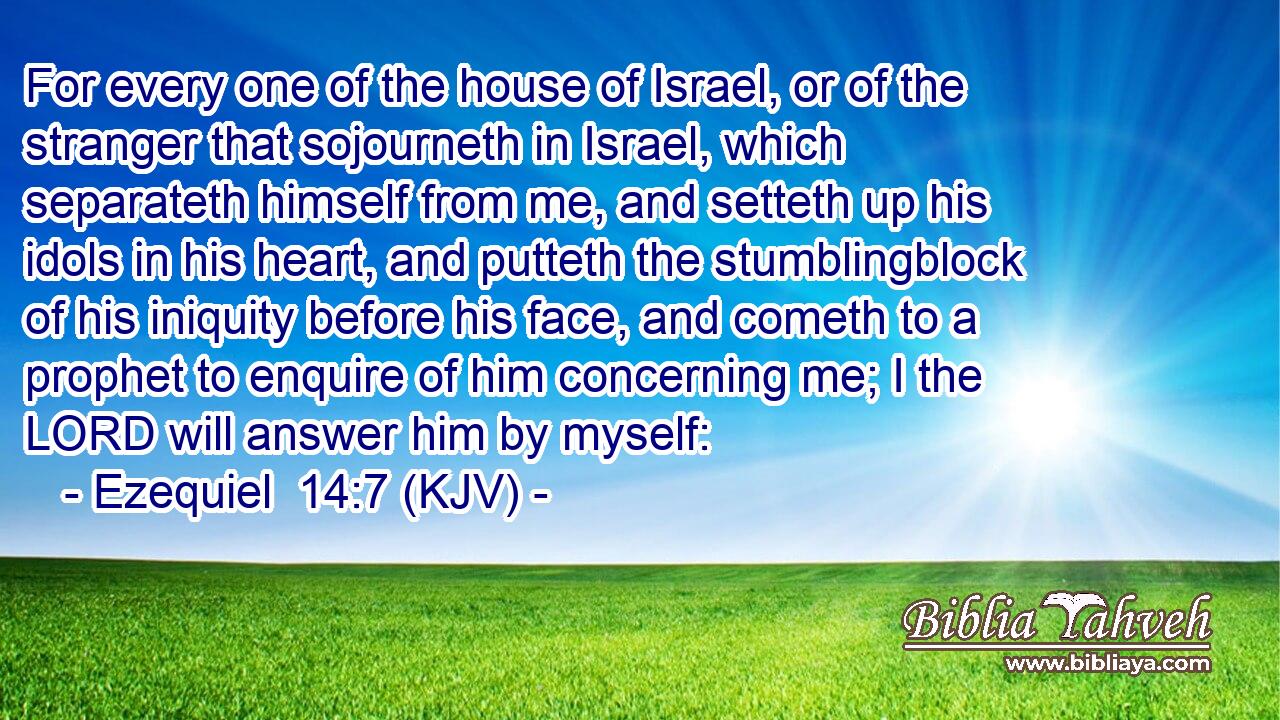 For every one of the house of Israel, or of the stranger that sojourneth in Israel, which separateth himself from me, and setteth up his idols in his heart, and putteth the stumblingblock of his iniquity before his face, and cometh to a prophet to enquire of him concerning me; I the LORD will answer him by myself: