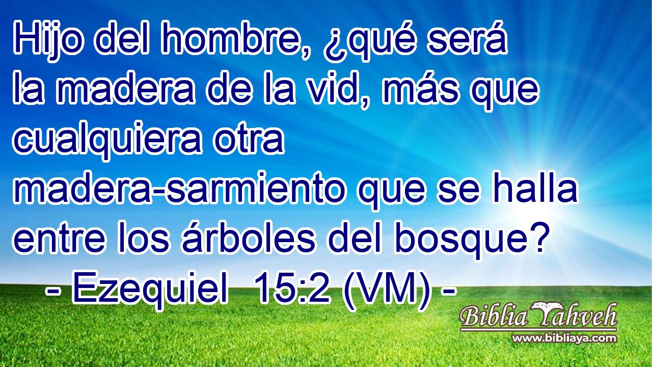  Hijo del hombre, ¿qué será la madera de la vid, más que cualquiera otra madera-sarmiento que se halla entre los árboles del bosque? 