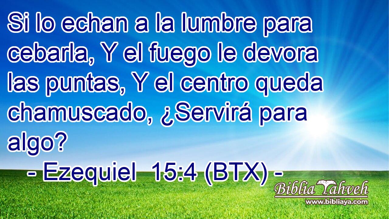 Si lo echan a la lumbre para cebarla, Y el fuego le devora las puntas, Y el centro queda chamuscado, ¿Servirá para algo?