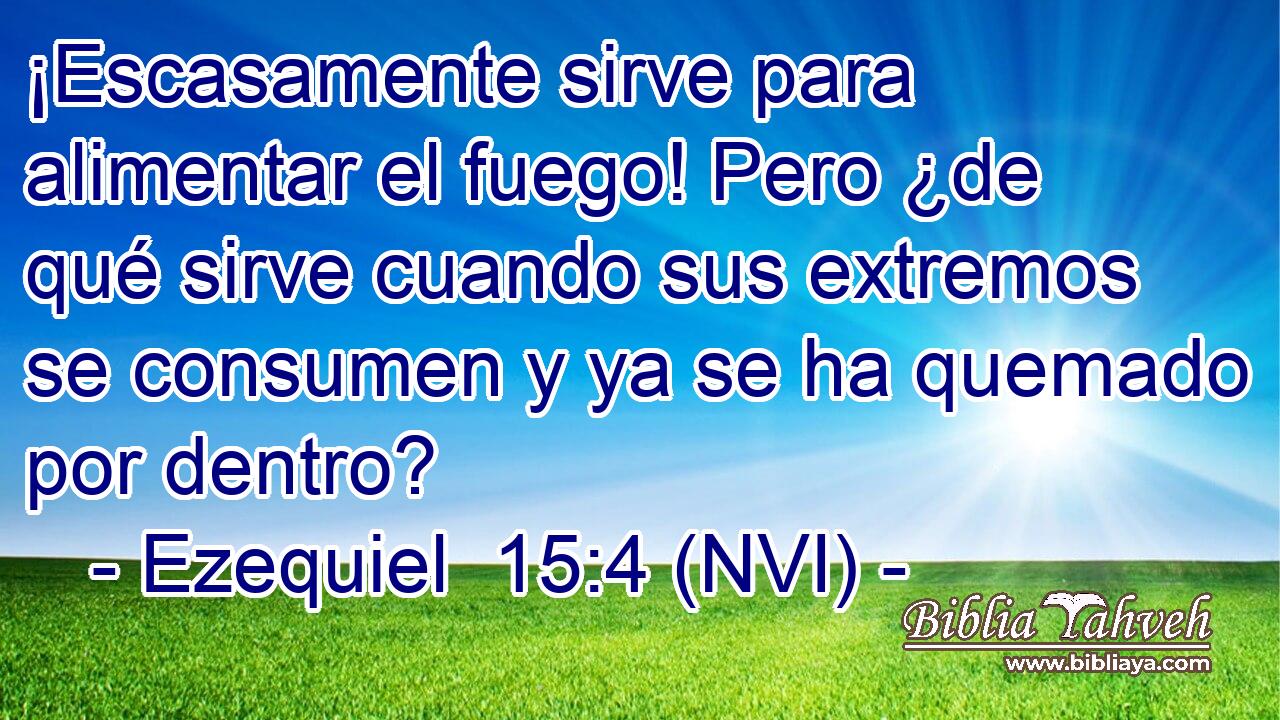  ¡Escasamente sirve para alimentar el fuego! Pero ¿de qué sirve cuando sus extremos se consumen y ya se ha quemado por dentro? 