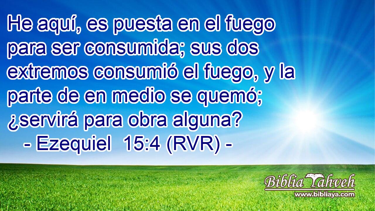 He aquí, es puesta en el fuego para ser consumida; sus dos extremos consumió el fuego, y la parte de en medio se quemó; ¿servirá para obra alguna?