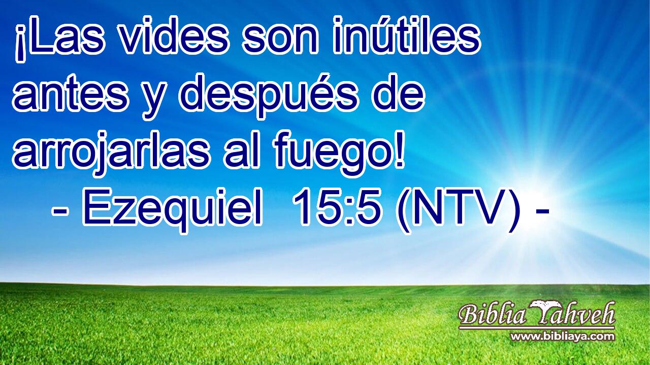 ¡Las vides son inútiles antes y después de arrojarlas al fuego!