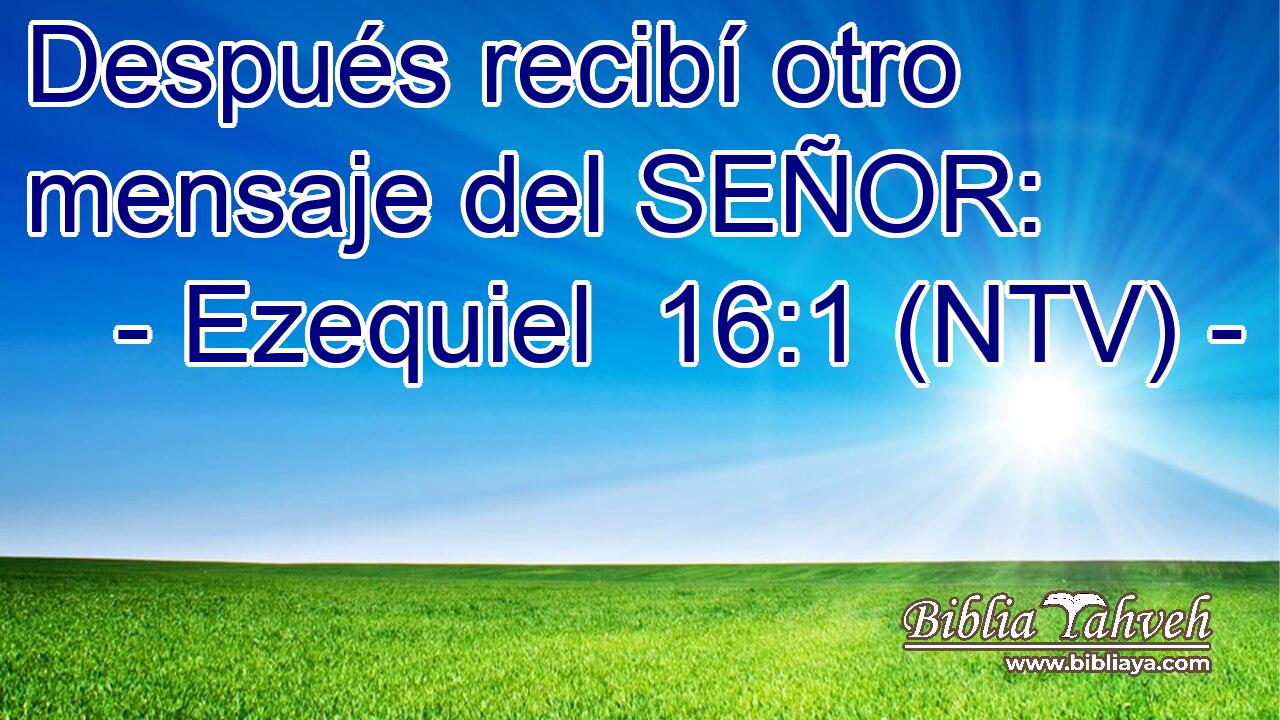 Después recibí otro mensaje del SEÑOR: