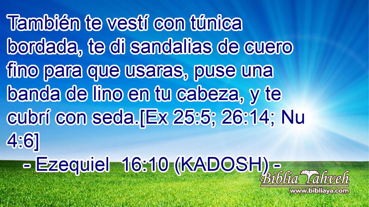  También te vestí con túnica bordada, te di sandalias de cuero fino para que usaras, puse una banda de lino en tu cabeza, y te cubrí con seda.[Ex 25:5; 26:14; Nu 4:6] 