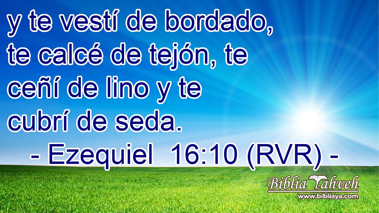 y te vestí de bordado, te calcé de tejón, te ceñí de lino y te cubrí de seda.