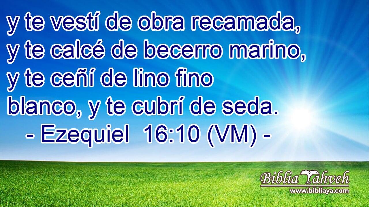  y te vestí de obra recamada, y te calcé de becerro marino, y te ceñí de lino fino blanco, y te cubrí de seda. 