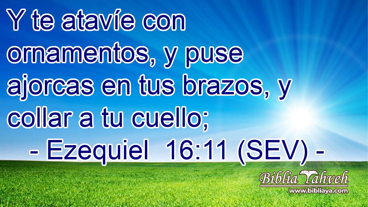 Y te atavíe con ornamentos, y puse ajorcas en tus brazos, y collar a tu cuello;
