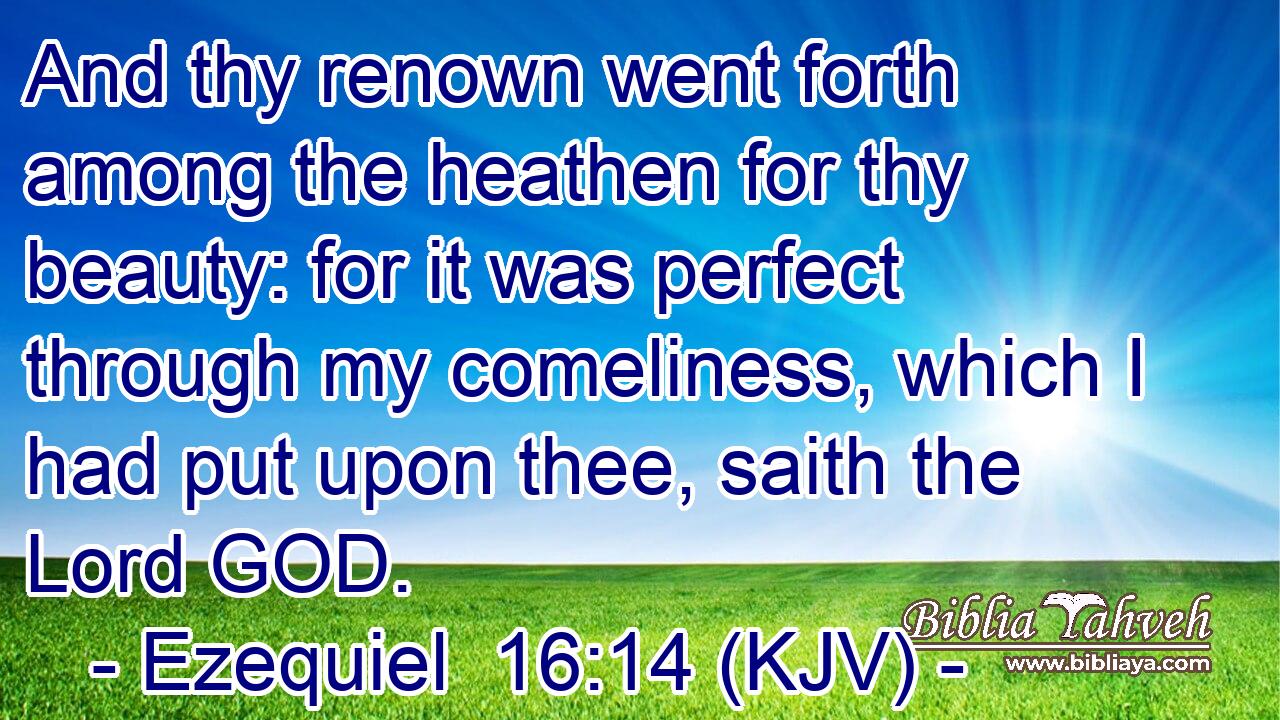 And thy renown went forth among the heathen for thy beauty: for it was perfect through my comeliness, which I had put upon thee, saith the Lord GOD.