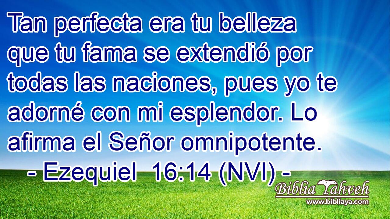  Tan perfecta era tu belleza que tu fama se extendió por todas las naciones, pues yo te adorné con mi esplendor. Lo afirma el Señor omnipotente. 