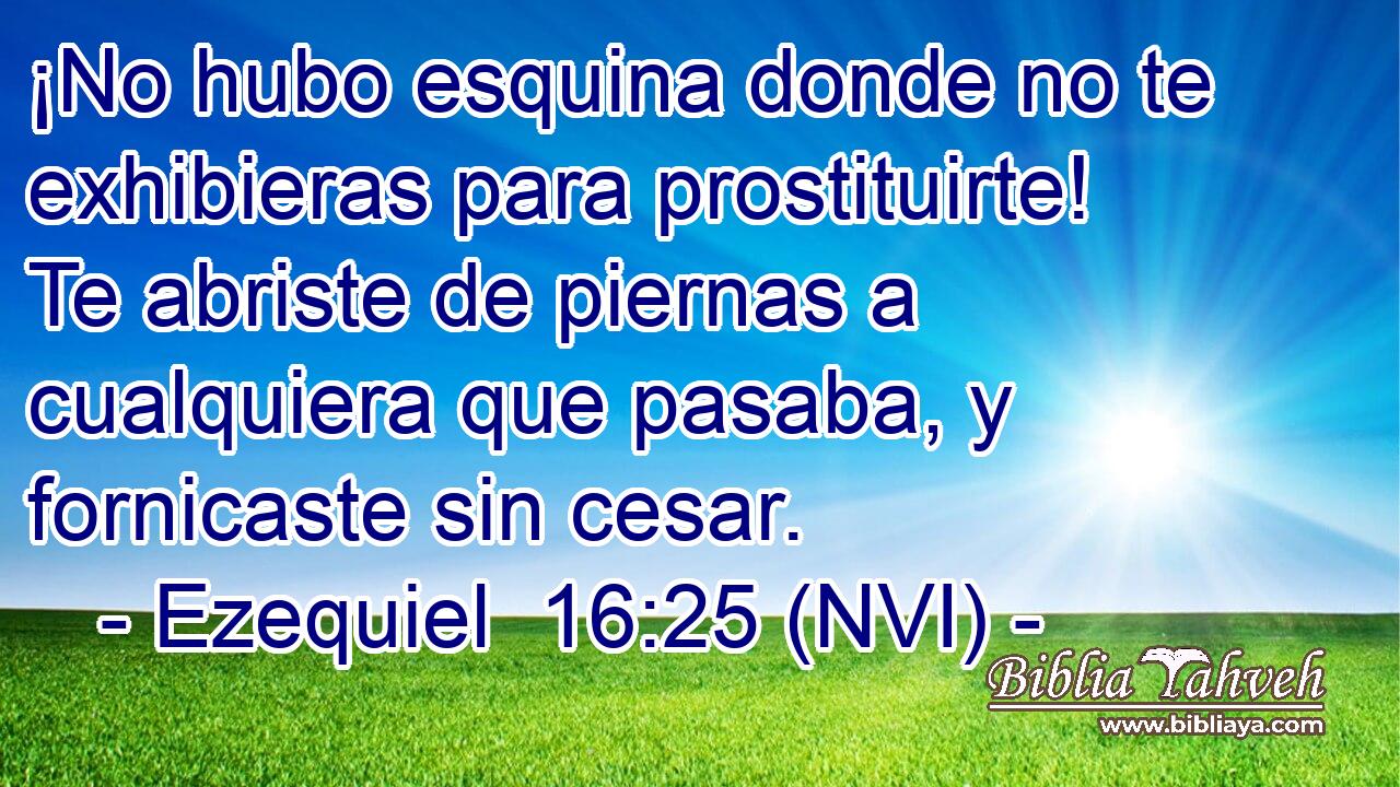  ¡No hubo esquina donde no te exhibieras para prostituirte! Te abriste de piernas a cualquiera que pasaba, y fornicaste sin cesar. 