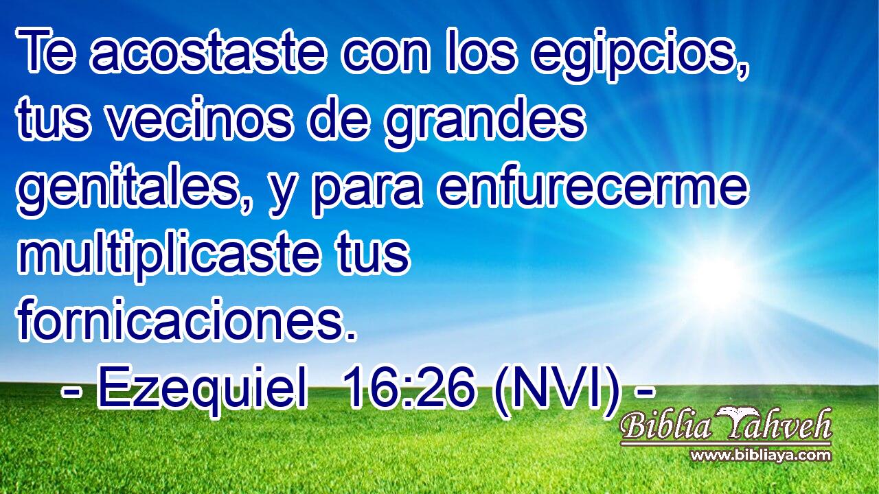  Te acostaste con los egipcios, tus vecinos de grandes genitales, y para enfurecerme multiplicaste tus fornicaciones. 