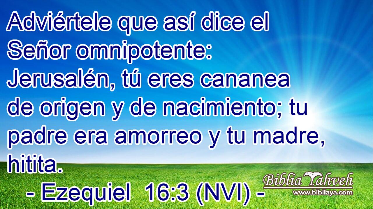  Adviértele que así dice el Señor omnipotente: Jerusalén, tú eres cananea de origen y de nacimiento; tu padre era amorreo y tu madre, hitita. 