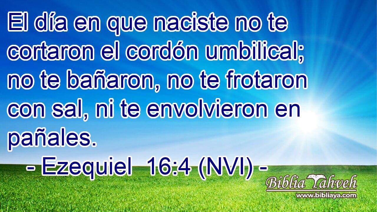  El día en que naciste no te cortaron el cordón umbilical; no te bañaron, no te frotaron con sal, ni te envolvieron en pañales. 