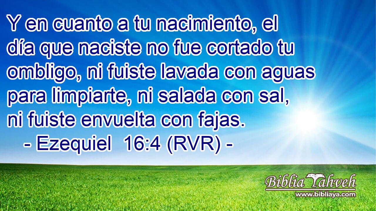 Y en cuanto a tu nacimiento, el día que naciste no fue cortado tu ombligo, ni fuiste lavada con aguas para limpiarte, ni salada con sal, ni fuiste envuelta con fajas.