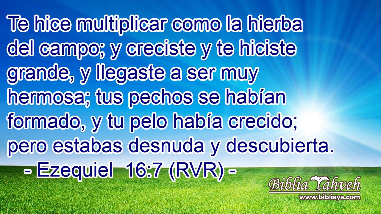 Te hice multiplicar como la hierba del campo; y creciste y te hiciste grande, y llegaste a ser muy hermosa; tus pechos se habían formado, y tu pelo había crecido; pero estabas desnuda y descubierta.