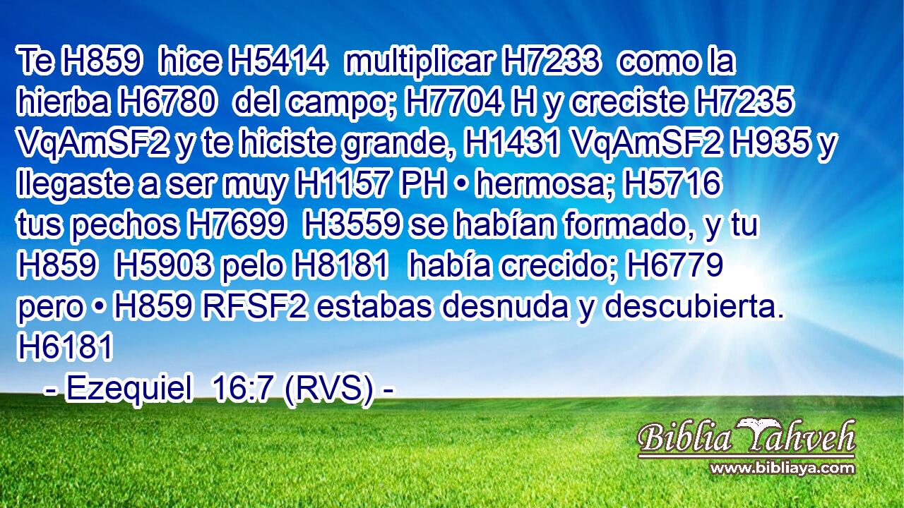 Te H859  hice H5414  multiplicar H7233  como la hierba H6780  del campo; H7704 H y creciste H7235 VqAmSF2 y te hiciste grande, H1431 VqAmSF2 H935 y llegaste a ser muy H1157 PH • hermosa; H5716  tus pechos H7699  H3559 se habían formado, y tu H859  H5903 pelo H8181  había crecido; H6779  pero • H859 RFSF2 estabas desnuda y descubierta. H6181  