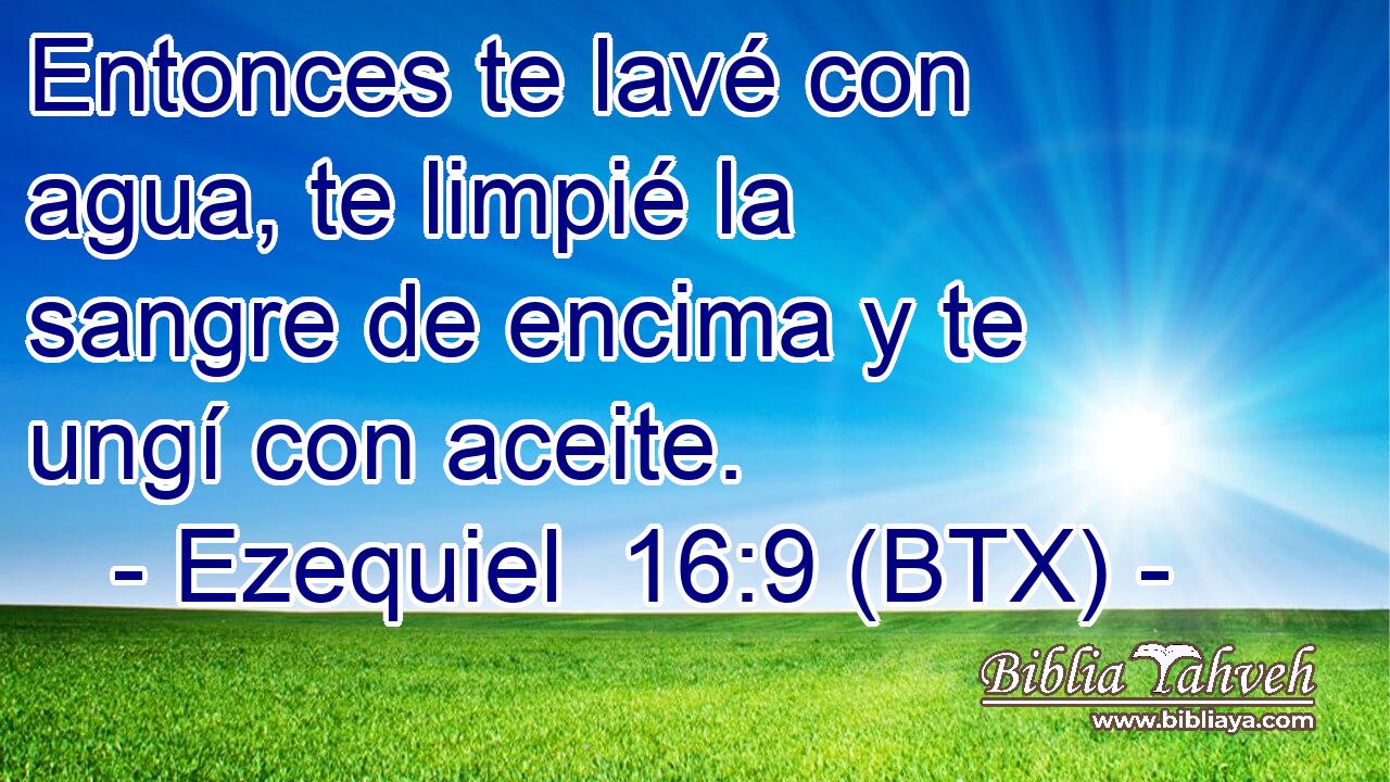 Entonces te lavé con agua, te limpié la sangre de encima y te ungí con aceite.
