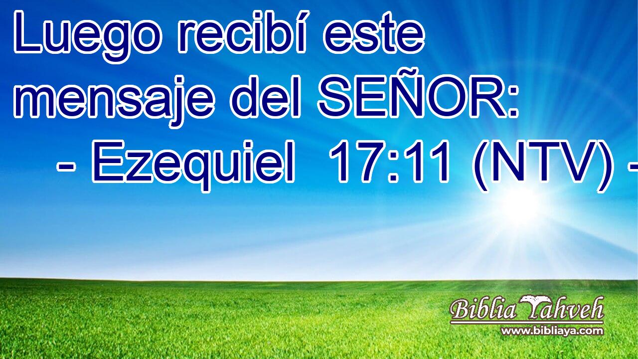 Luego recibí este mensaje del SEÑOR: