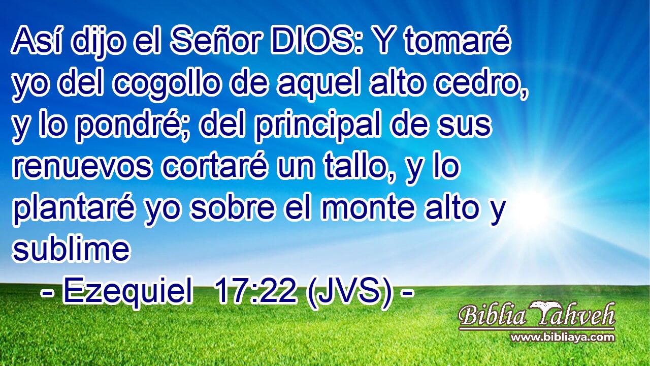 Así dijo el Señor DIOS: Y tomaré yo del cogollo de aquel alto cedro, y lo pondré; del principal de sus renuevos cortaré un tallo, y lo plantaré yo sobre el monte alto y sublime