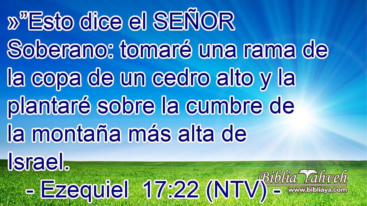 »”Esto dice el SEÑOR Soberano: tomaré una rama de la copa de un cedro alto y la plantaré sobre la cumbre de la montaña más alta de Israel.